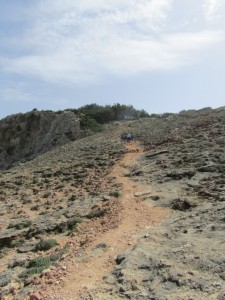 IMG_5464 (Medium)